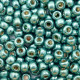 Miyuki seed beads 6/0 - Duracoat galvanized sea foam green 6-4217